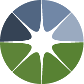 Drip Irrigation Installation Pros