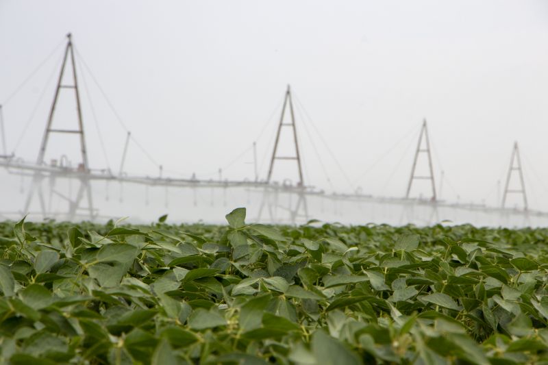 Honolulu, HI