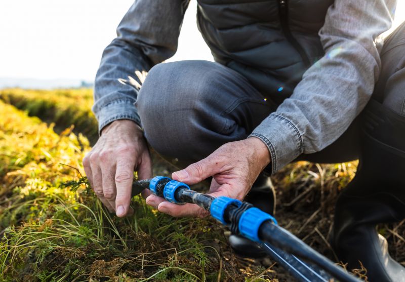 Aiken, SC