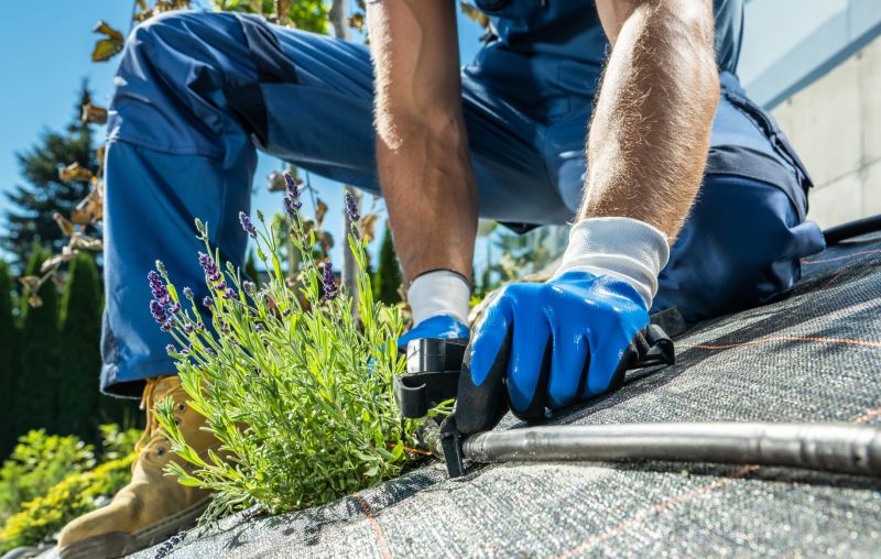 Drip Irrigation Installation