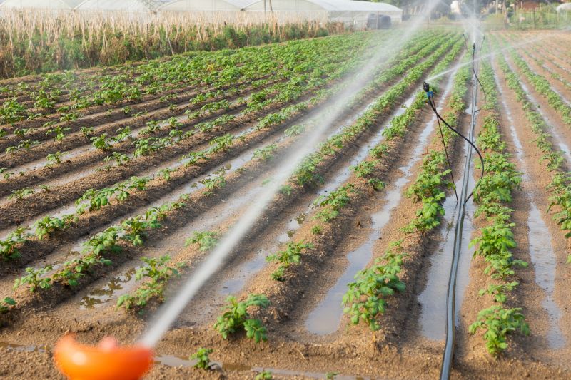Irrigation Repair in Aiken, SC