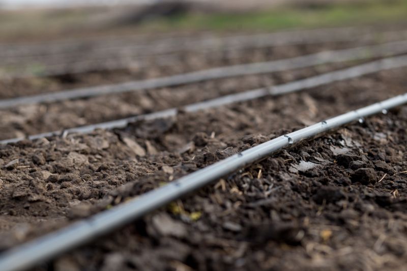 Mist Irrigation Installation in Aiken, SC