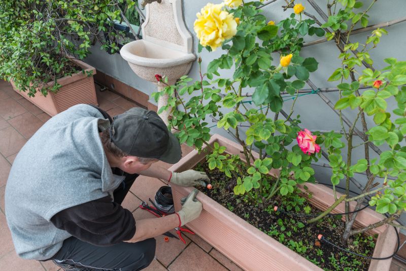 Drip Irrigation Installation Service
