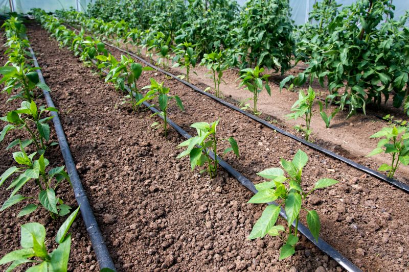 Irrigation Installation in Aiken, SC