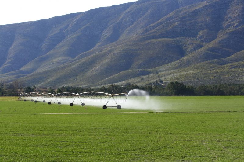 Irrigation Service in Honolulu, HI