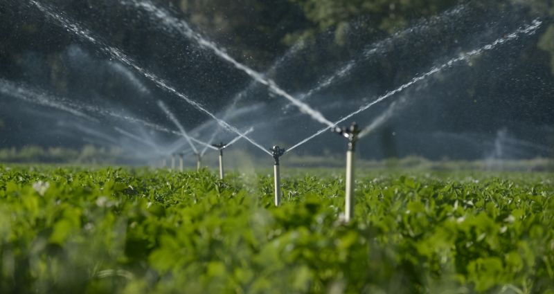 Irrigation System Replacement in Aiken, SC