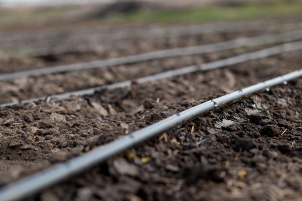 Drip Irrigation Installation Service